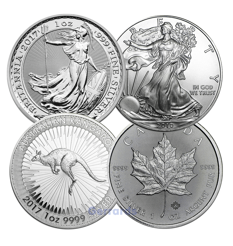 1 oz silver bullion coin