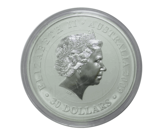 Australia 1 Kilo Silver Koala Coin (Mixed Dates) - Image 5