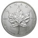 Silver Maple Leaf